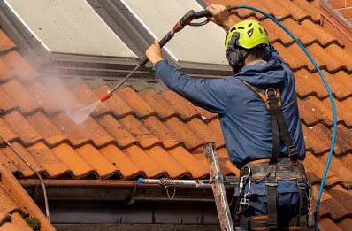 Démoussage et hydrofuge de toiture à Barzun